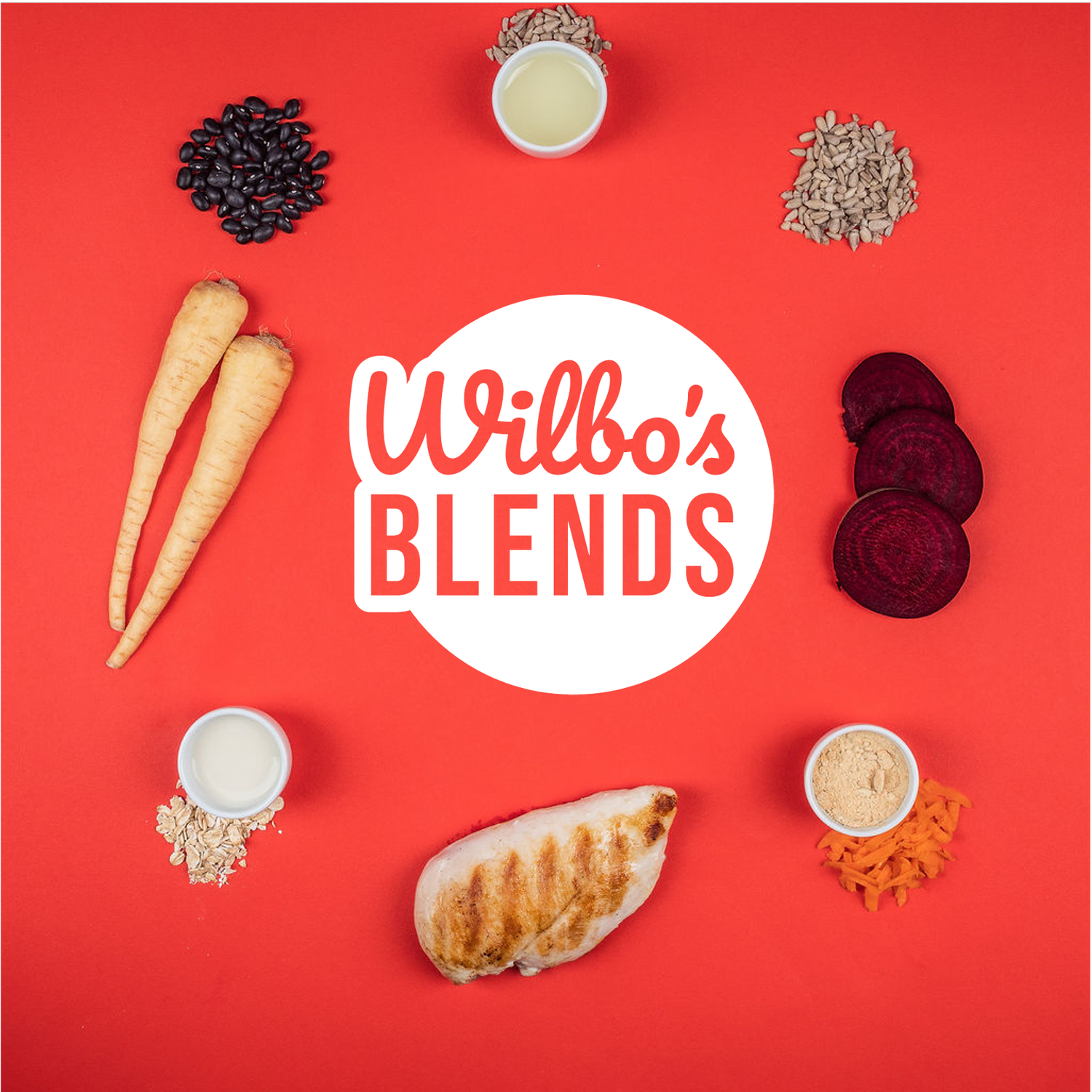 Casserole de poulet et légumes racines bio x 6