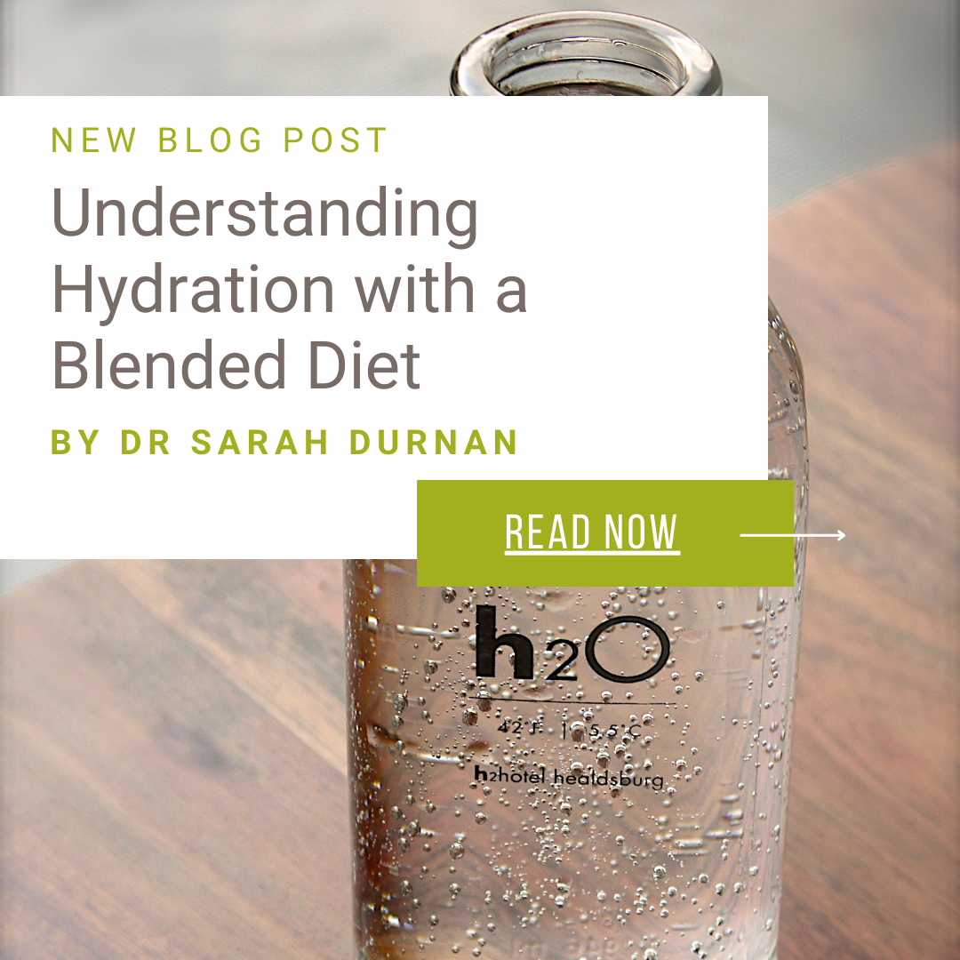 Understanding Hydration with a Blended Diet